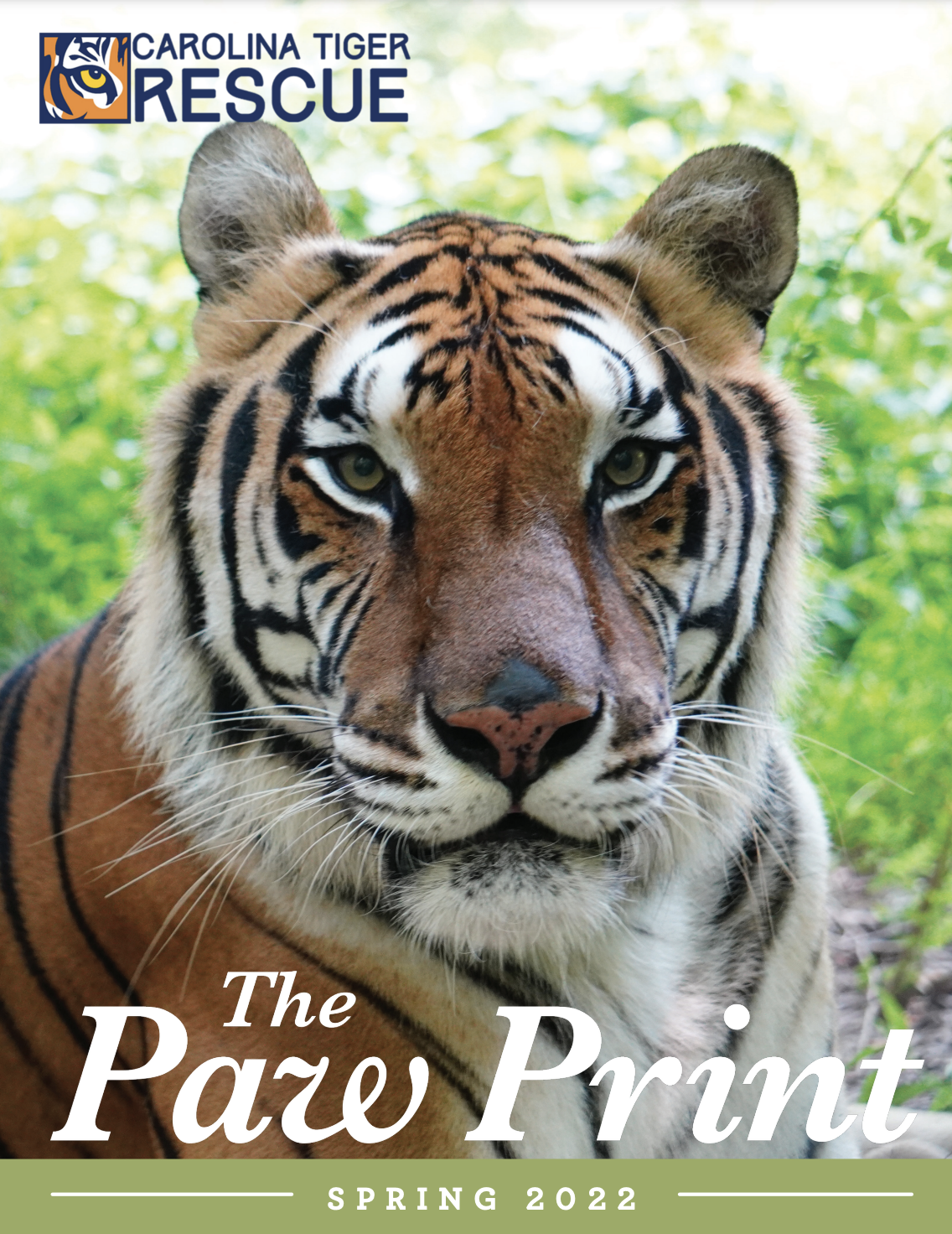 Fall 2016 Paw Print